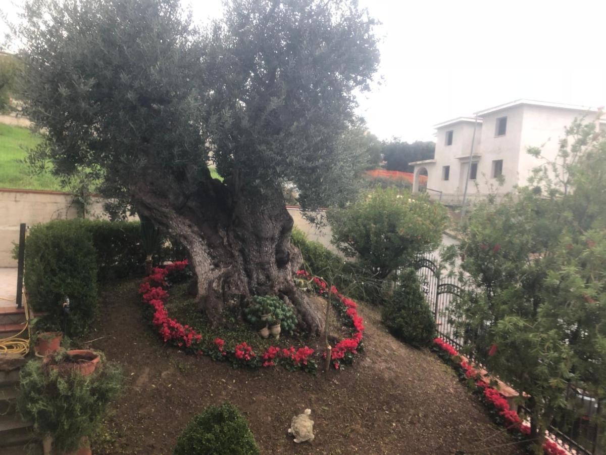 B&B Rosa Dei Venti Roseto Capo Spulico Eksteriør bilde