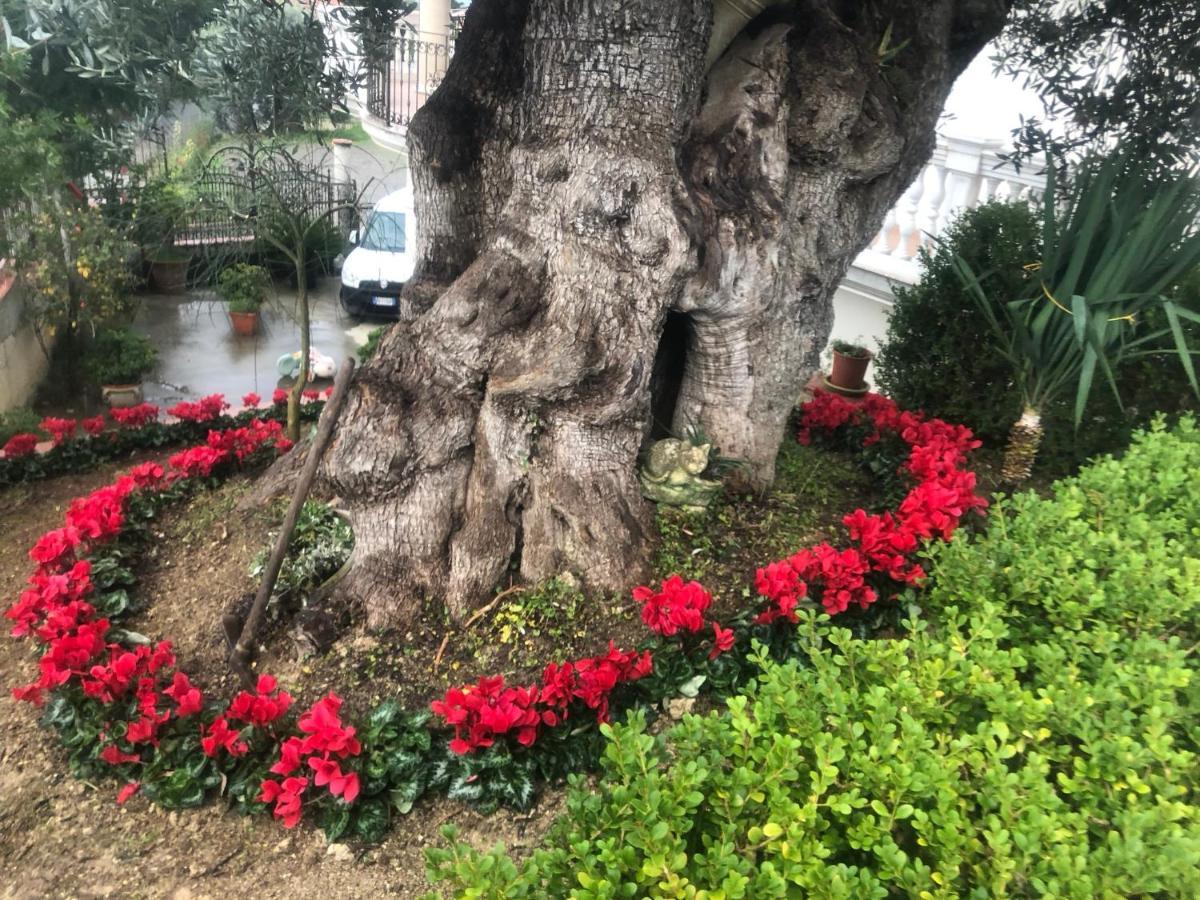 B&B Rosa Dei Venti Roseto Capo Spulico Eksteriør bilde