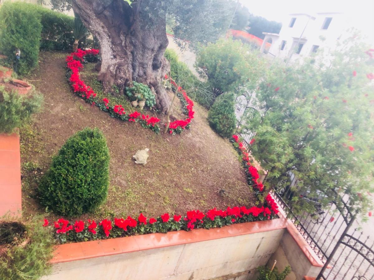 B&B Rosa Dei Venti Roseto Capo Spulico Eksteriør bilde